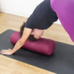 bolster-eco-yogateria-ameixa-3-2