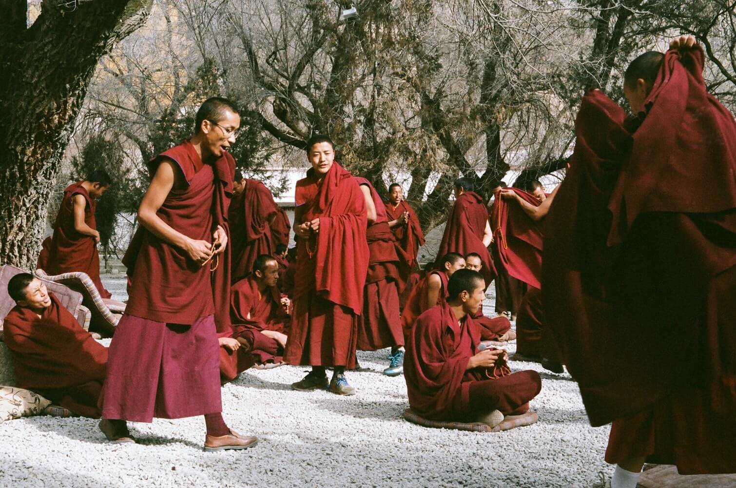 monge-tibetano