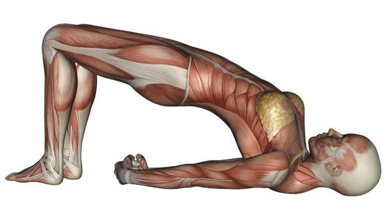 setubandha-sarvangasana