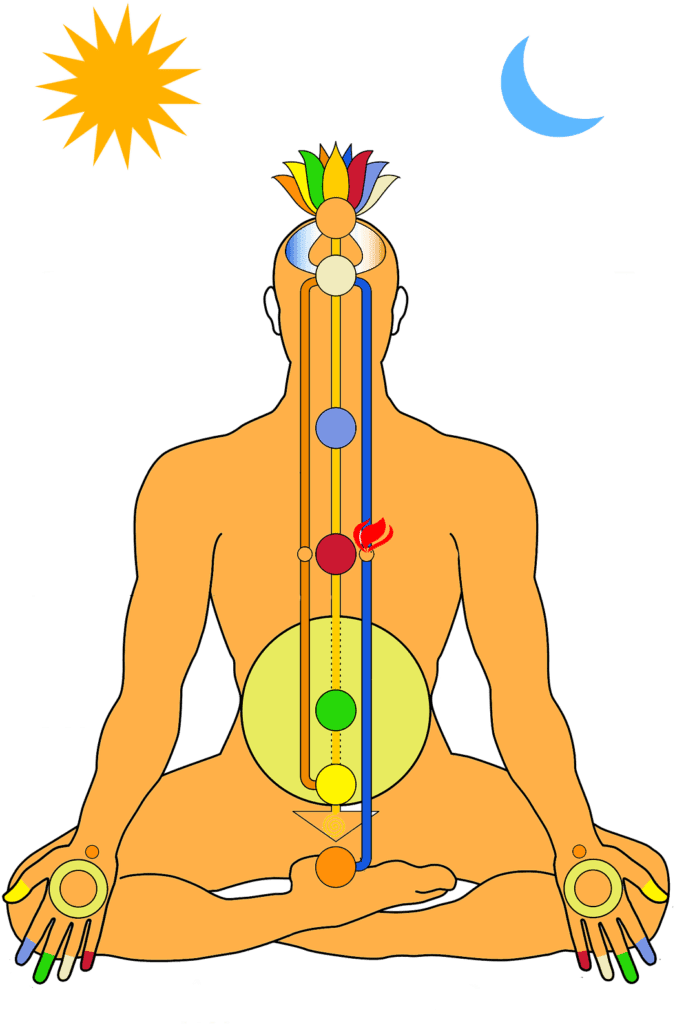 hatha-yoga-yogateria
