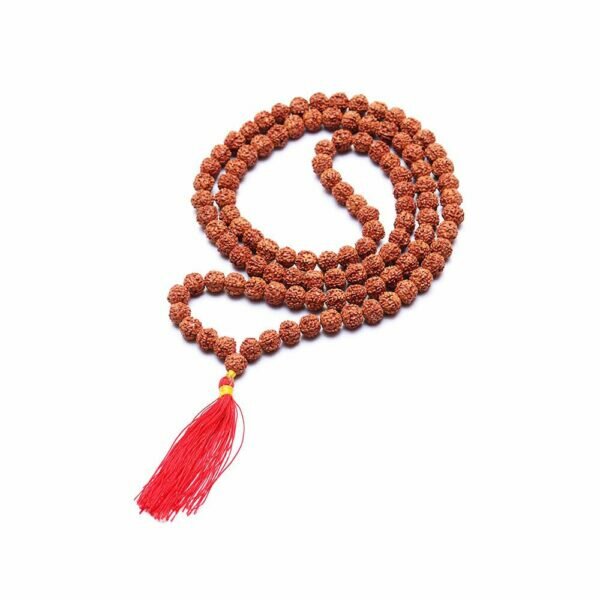 jaopamala-rudraksha