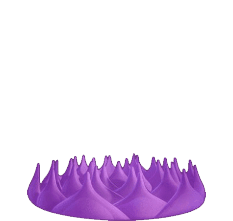 Tapete e Almofada de Acupressão e Massagem Vital - Grande 24