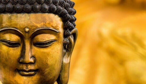 buddha-yogateria