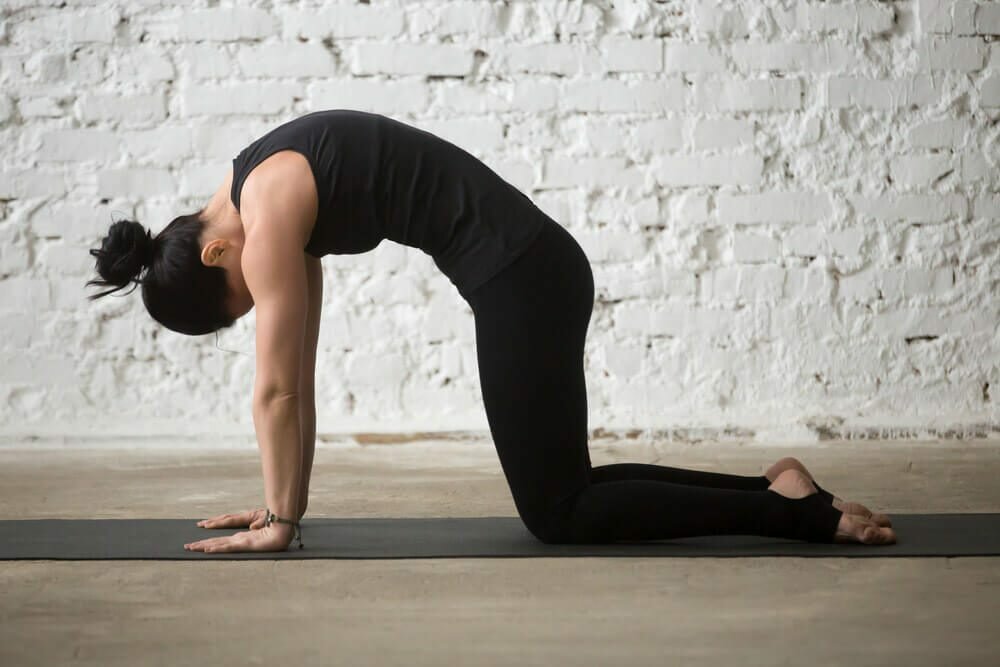 postura-gato-yogateria