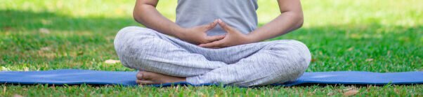 Dhyana-mudra-yogateria