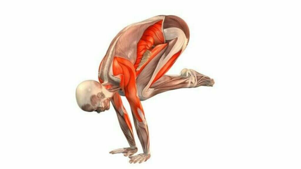 bakasana-yogateria-10