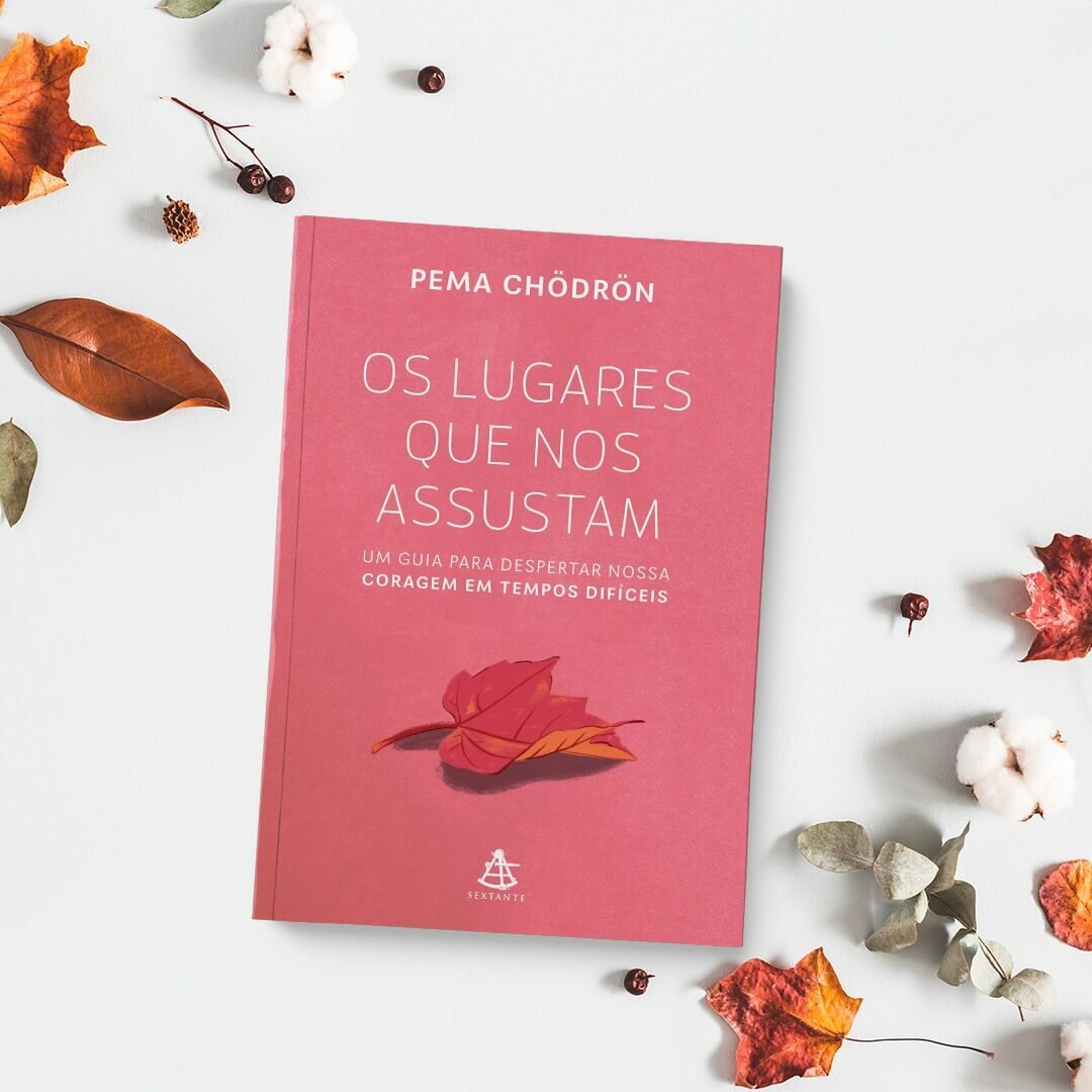 Livro - A coragem de não agradar 17
