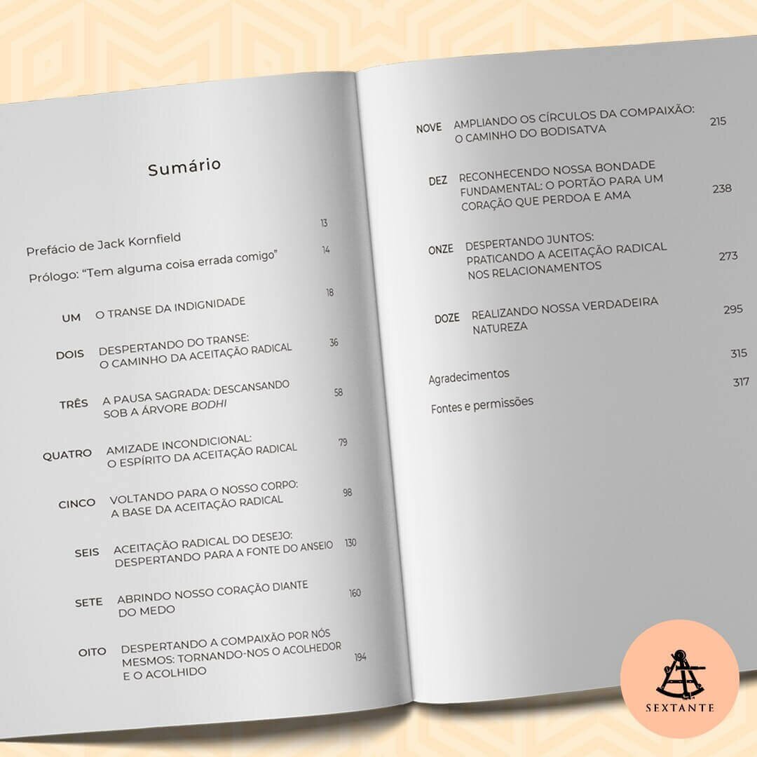 Livro - A coragem de não agradar 12