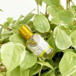 perfume-freshmint-goloka-yogateria-4