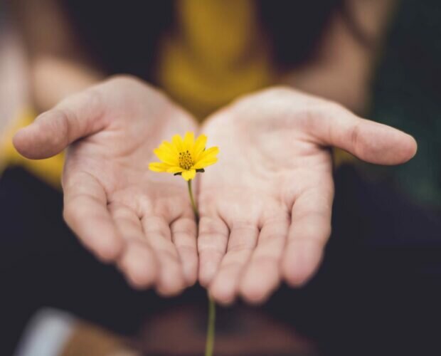 setembro-amarelo-yogateria