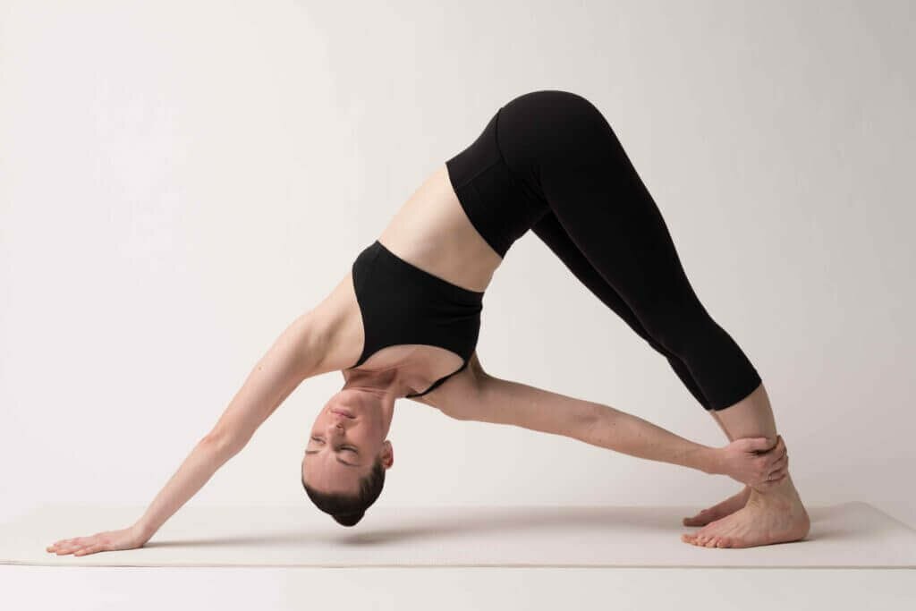 Adho-Mukha-cachorro-olhando-para-baixo-yogateria2