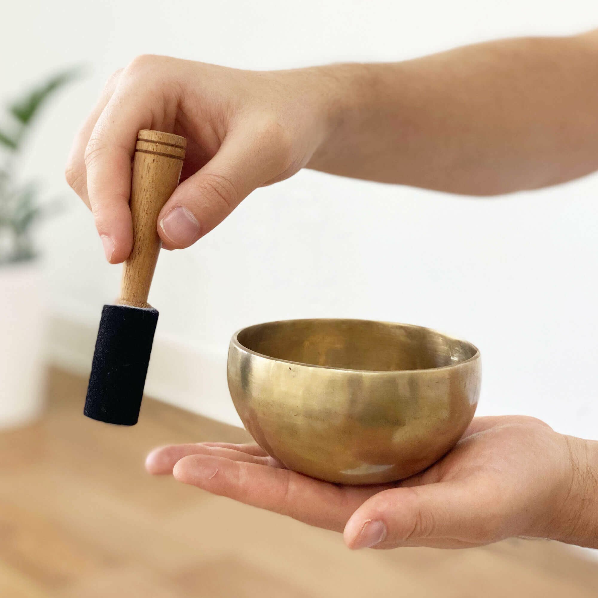 sino-tibetano-11-yogateria-1