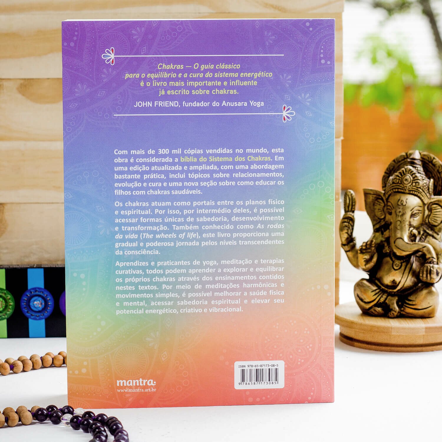 livro-chakras-yogateria-1