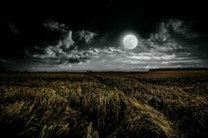 Fases da Lua 1