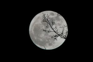Fases da Lua 9