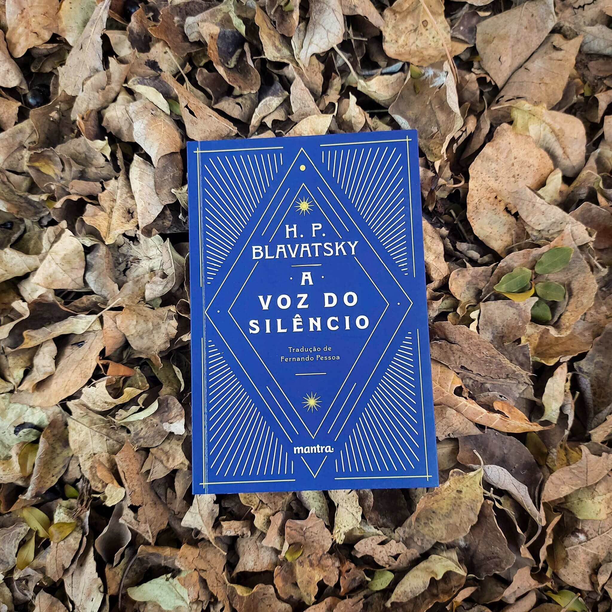 livro-a-voz-do-silencio-yogateria4