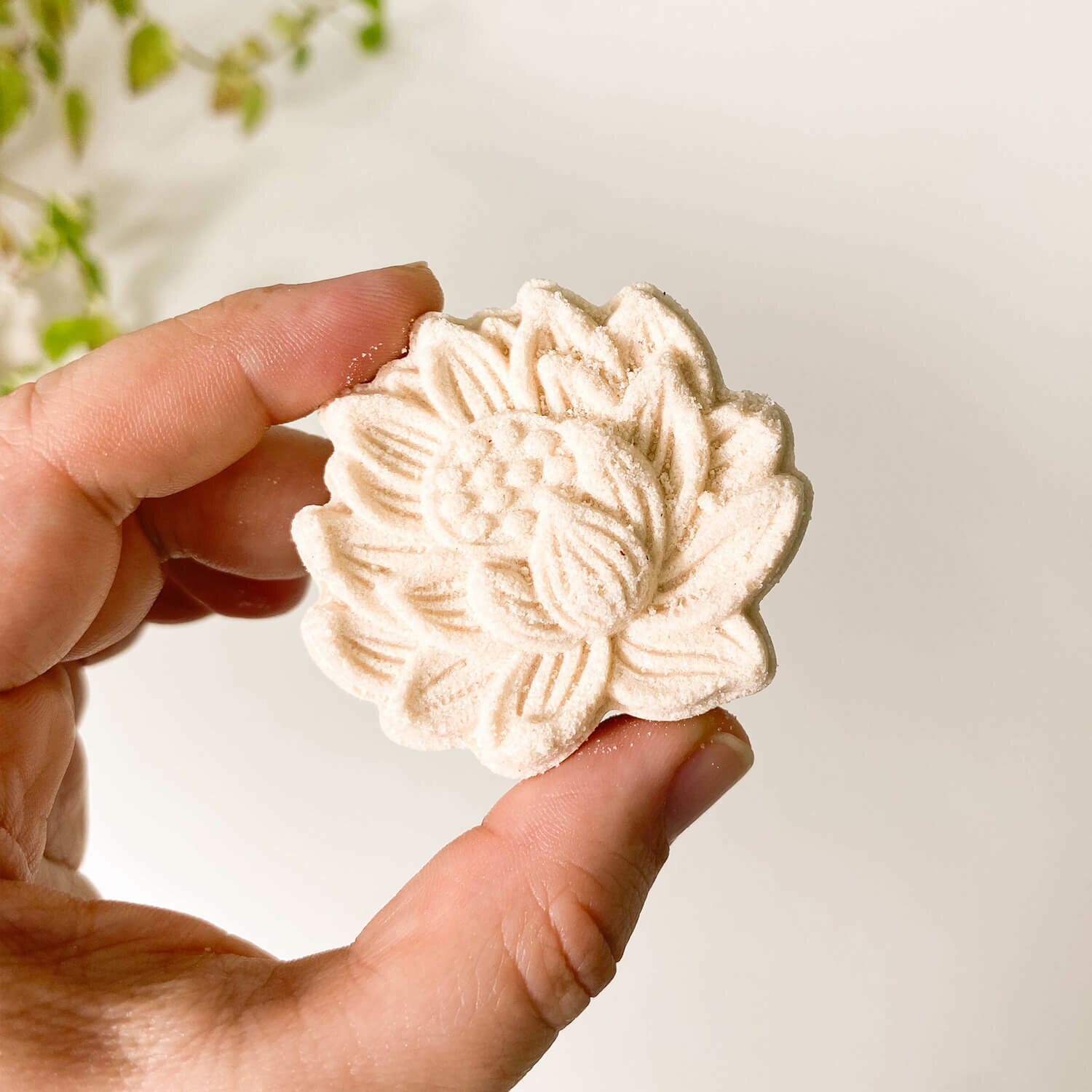 escaldapes-yogateria-rosas-02