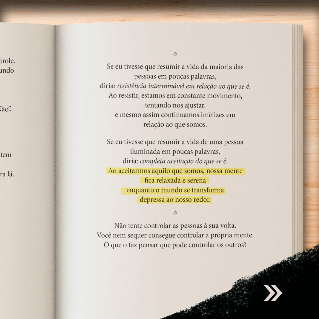 livro-as-coisas-que-voce-ve-quando-desacelera-yogateria12