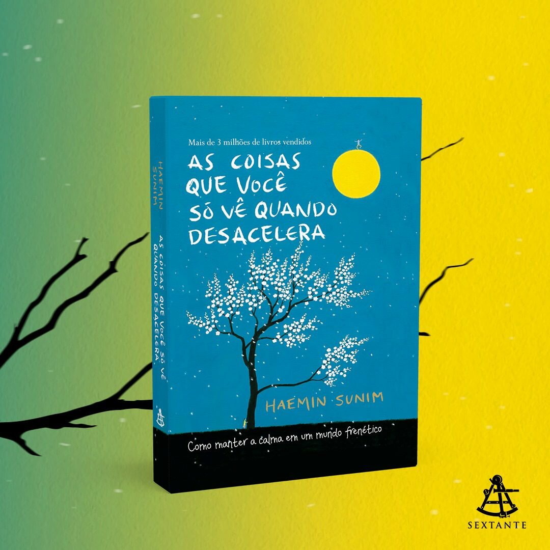 livro-as-coisas-que-voce-ve-quando-desacelera-yogateria13