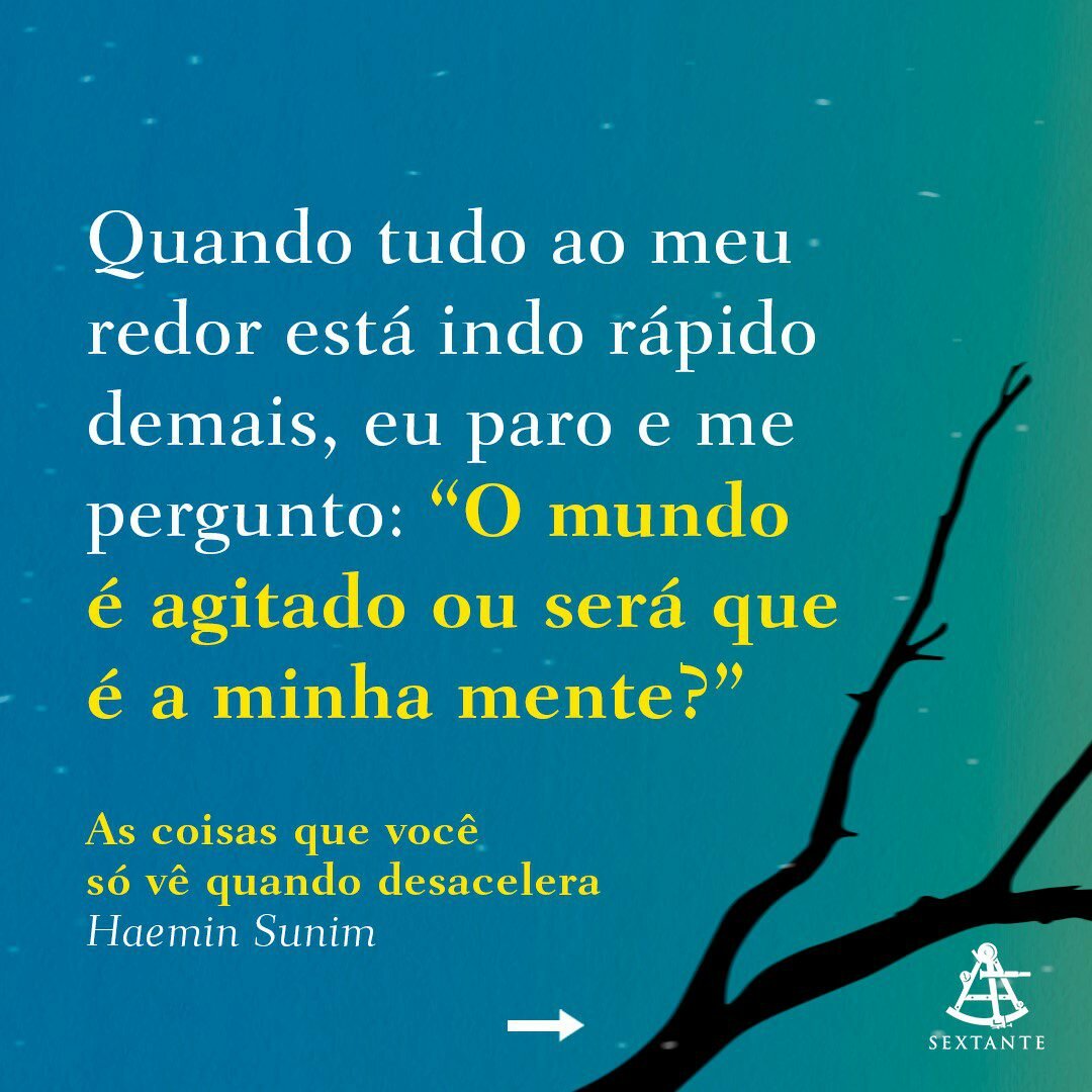 livro-as-coisas-que-voce-ve-quando-desacelera-yogateria14