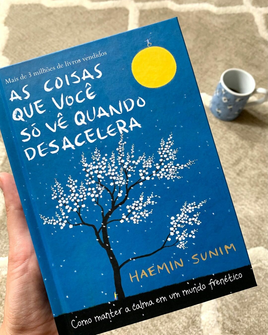 livro-as-coisas-que-voce-ve-quando-desacelera-yogateria5