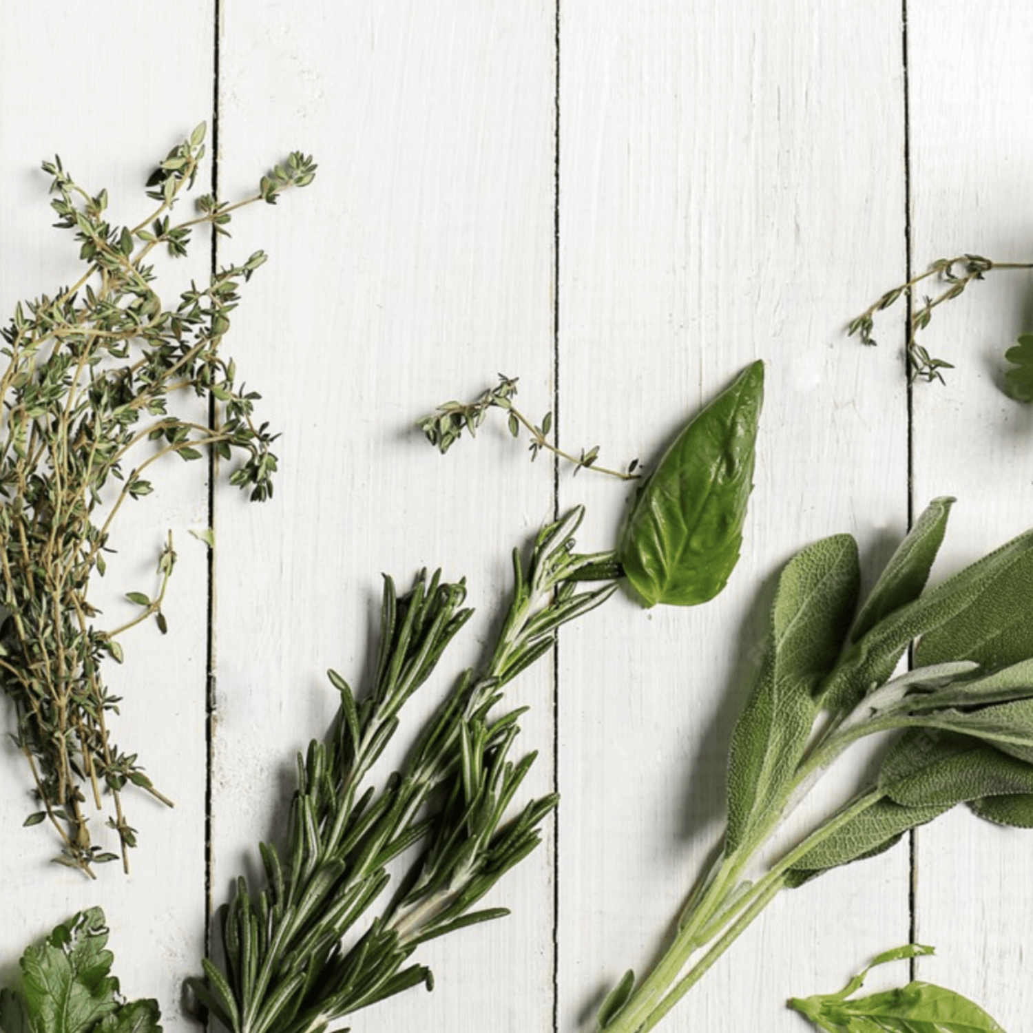 Sabonete Vegano Abre Caminhos - 7 Ervas 6 ervas