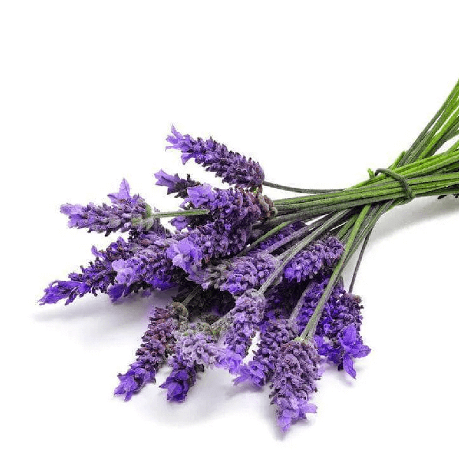 Sabonete Vegano Lavanda Alma - Lavanda 18 lavanda