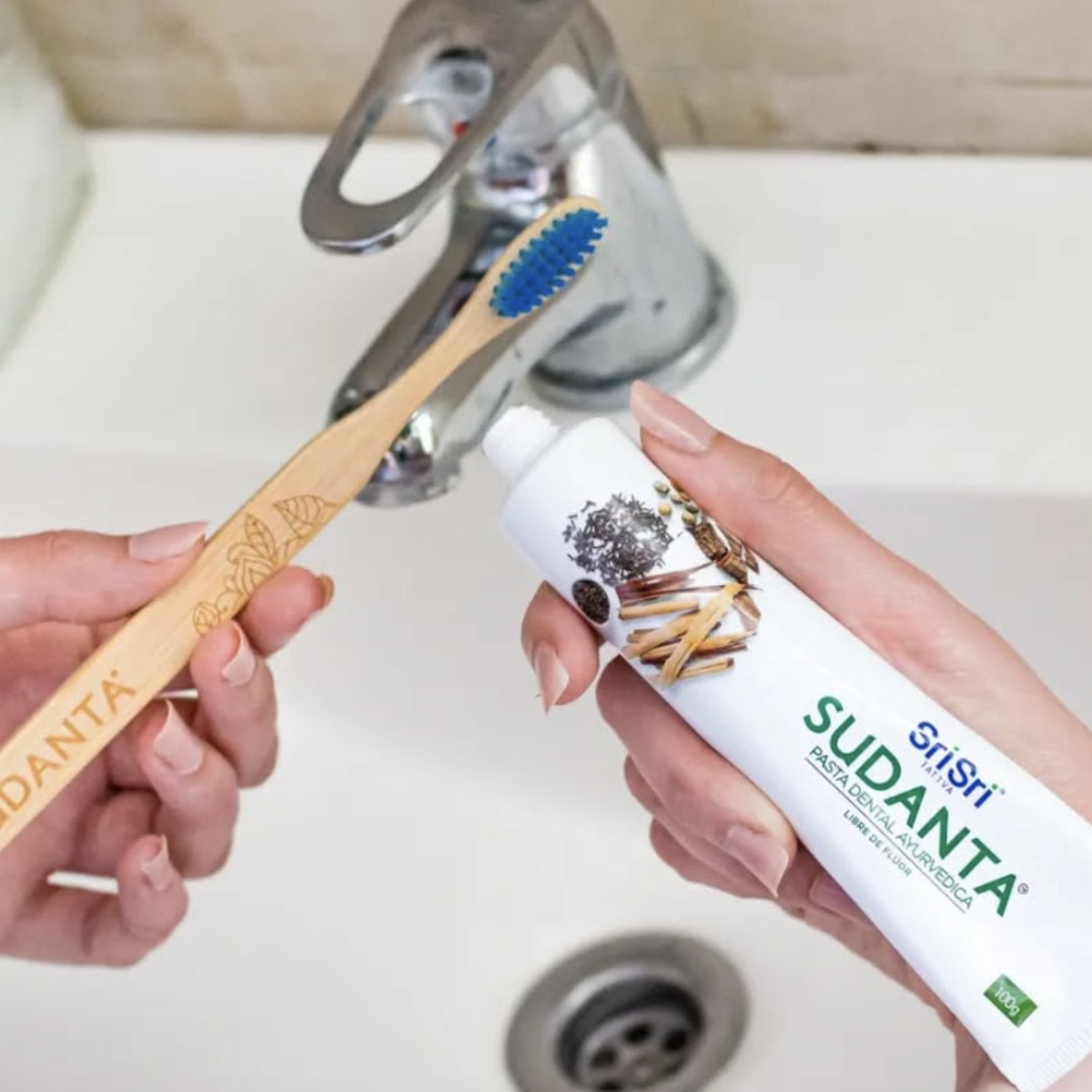 Sudanta Creme Dental Sri Sri Tattva 100g 13 Sudanta-02