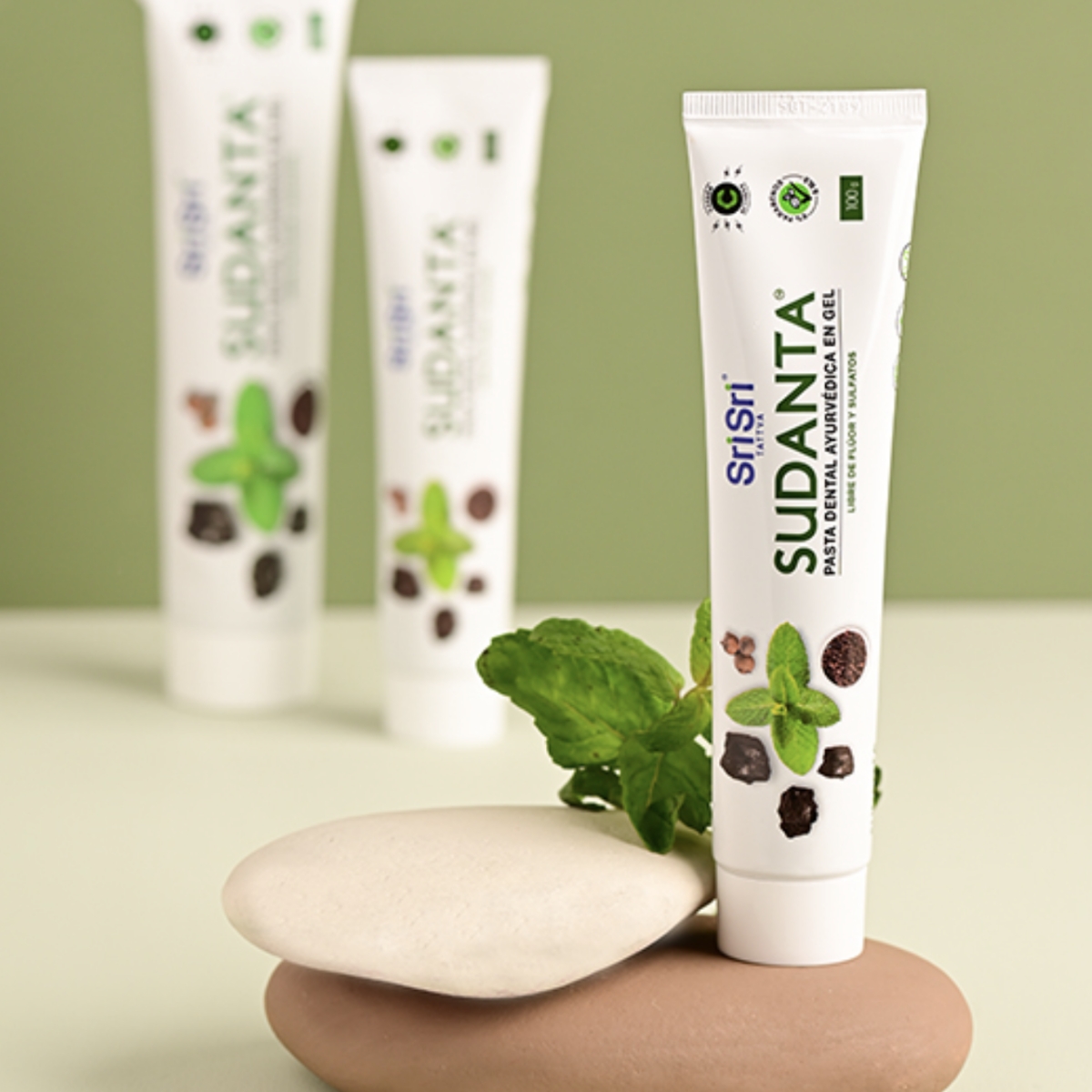 Sudanta Gel Dental Sri Sri Tattva 100g 12 Sudanta Gel Dental Sri Sri Tattva 100g 3